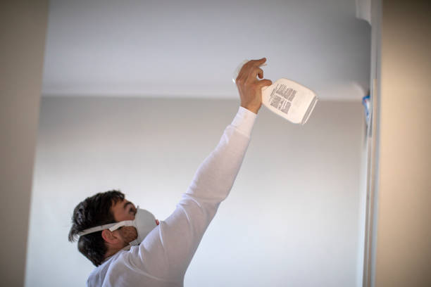 Best Crawl Space Mold Removal  in Riddle, OR