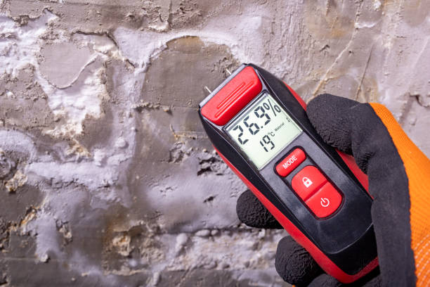 Best Mold Removal Company Near Me  in Riddle, OR