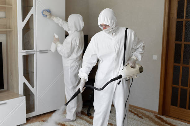 Professional Mold Removal in Riddle, OR